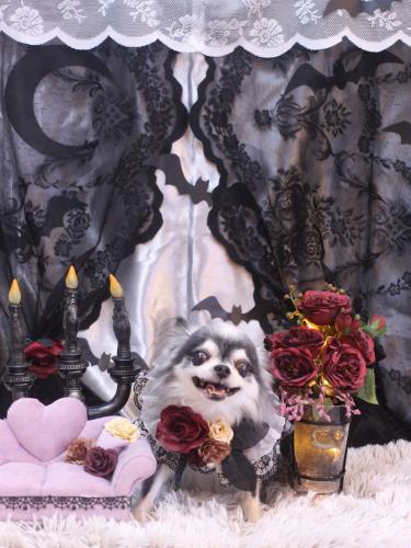 20231021クオンくん